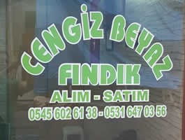 Cengiz Beyaz Fındık - Giresun Fındık Alım Satım - Giresun Toptan Fındık Alış Satış
