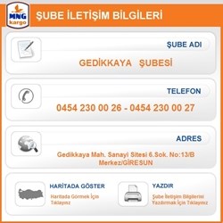 MNG Kargo Giresun Şube