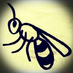 Beyaz Arı Temizlik Hizmetleri