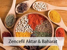 Zencefil Aktar & Baharat