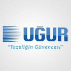 Cengiz Yayla Merse Pazarlama